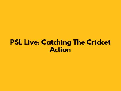 PSL Live: Catching The Cricket Action